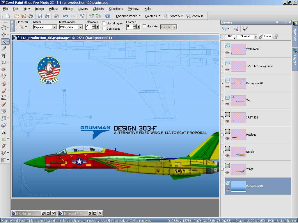 Grumman F-14 Tomcat