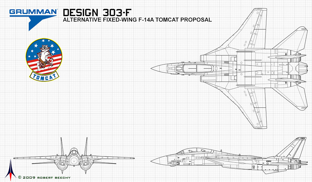 Grumman F-14 Tomcat