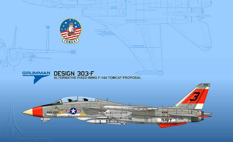 Grumman F-14 Tomcat