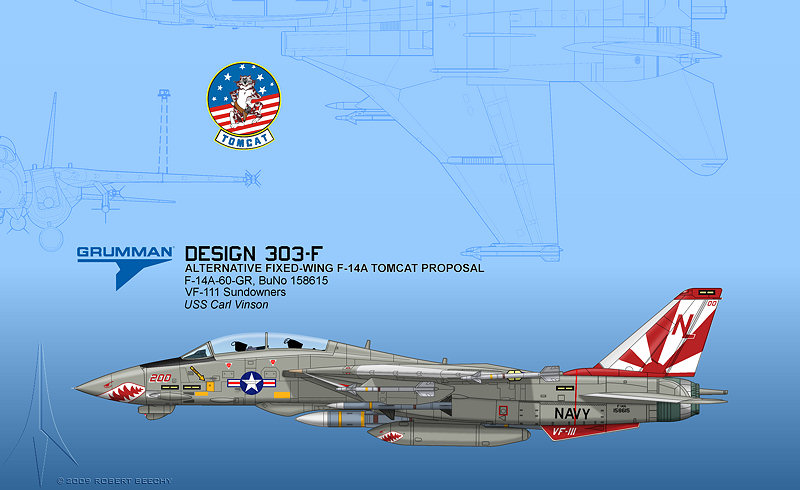 Grumman F-14 Tomcat