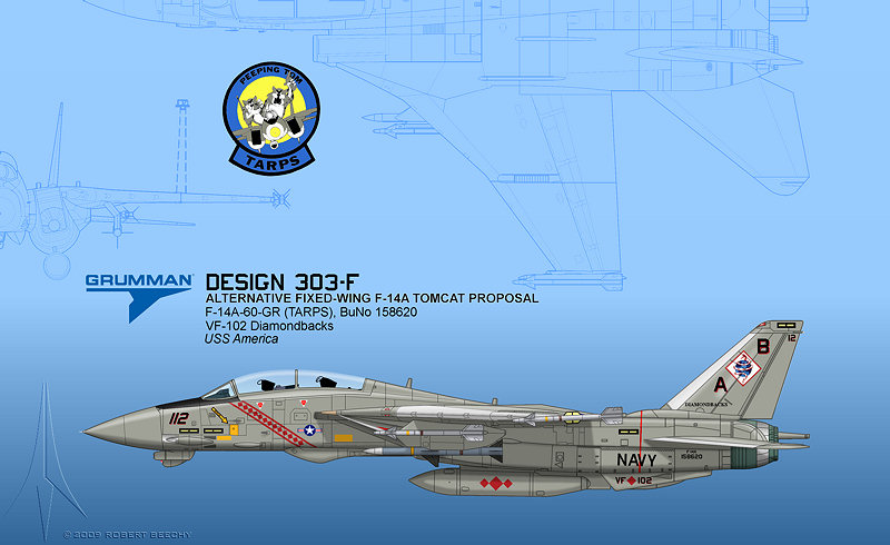 Grumman F-14 Tomcat