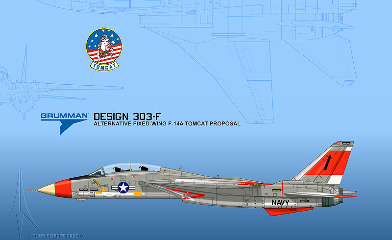 Grumman F-14 Tomcat