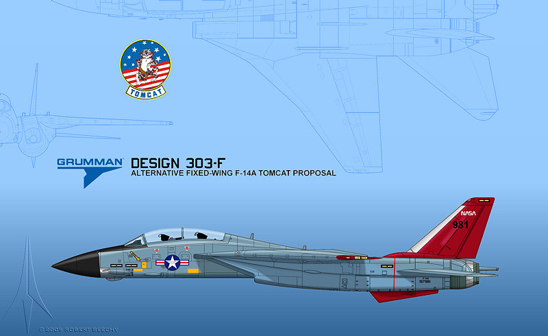 Grumman F-14 Tomcat