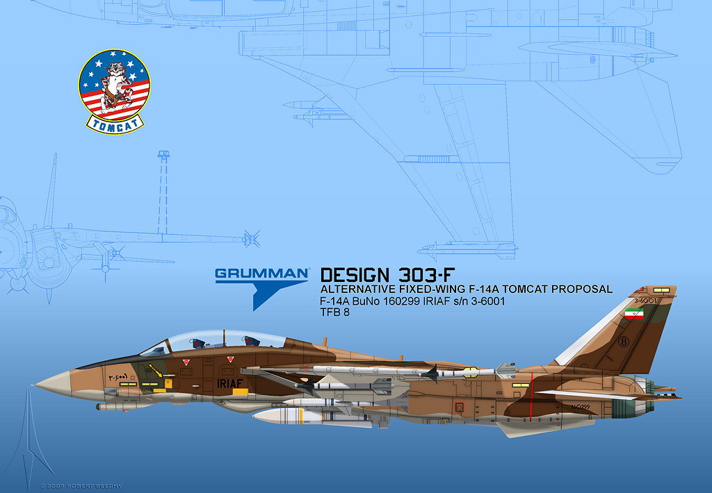 Grumman F-14 Tomcat