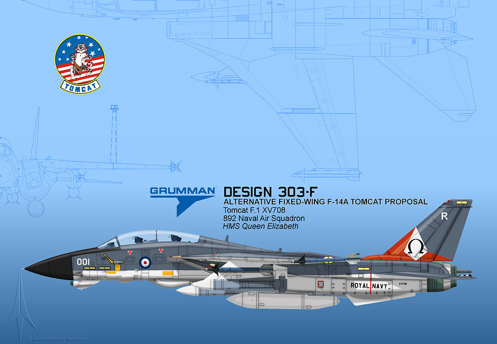 Grumman F-14 Tomcat