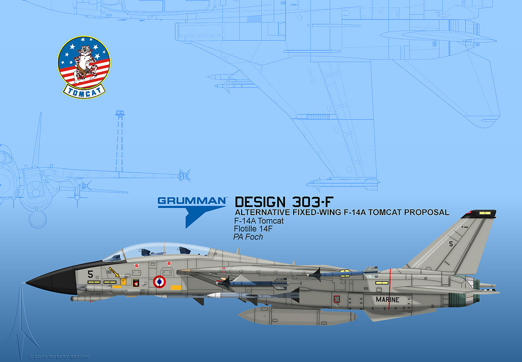 Grumman F-14 Tomcat