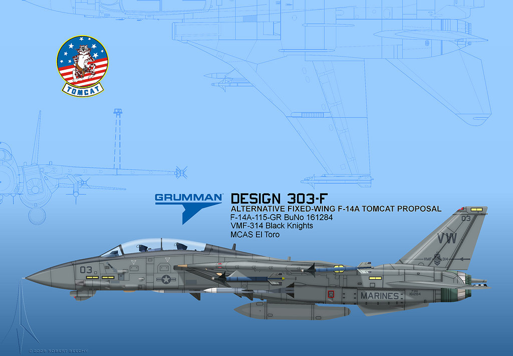 Grumman F-14 Tomcat