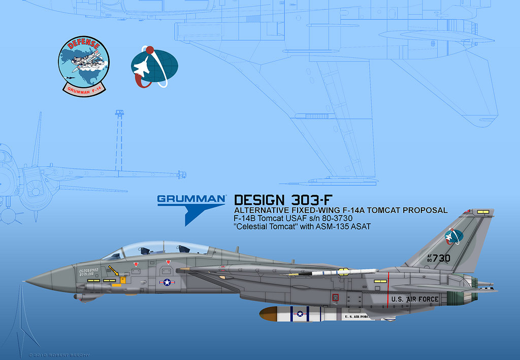 Grumman F-14 Tomcat