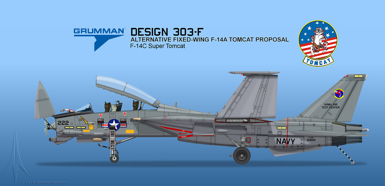 Grumman F-14 Tomcat