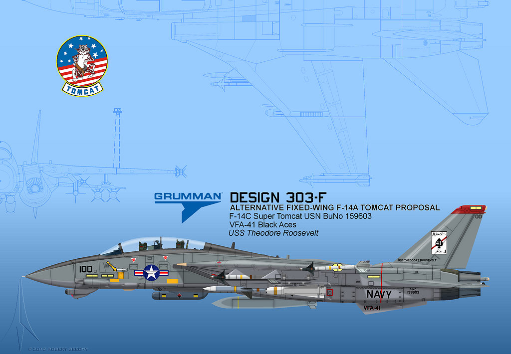 Grumman F-14 Tomcat