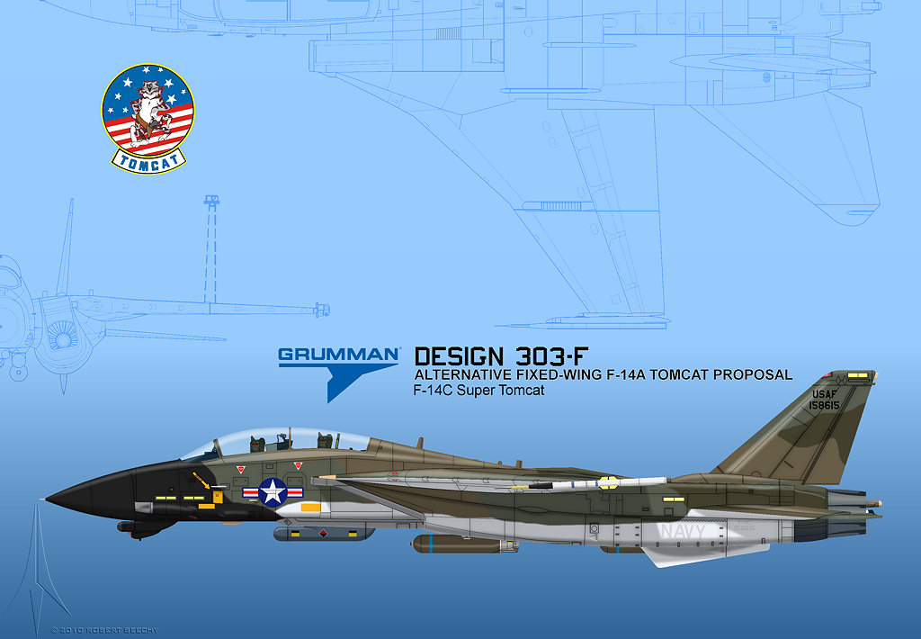 Grumman F-14 Tomcat