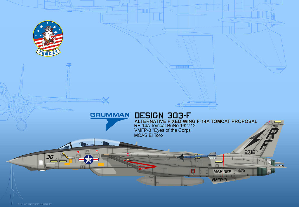 Grumman F-14 Tomcat