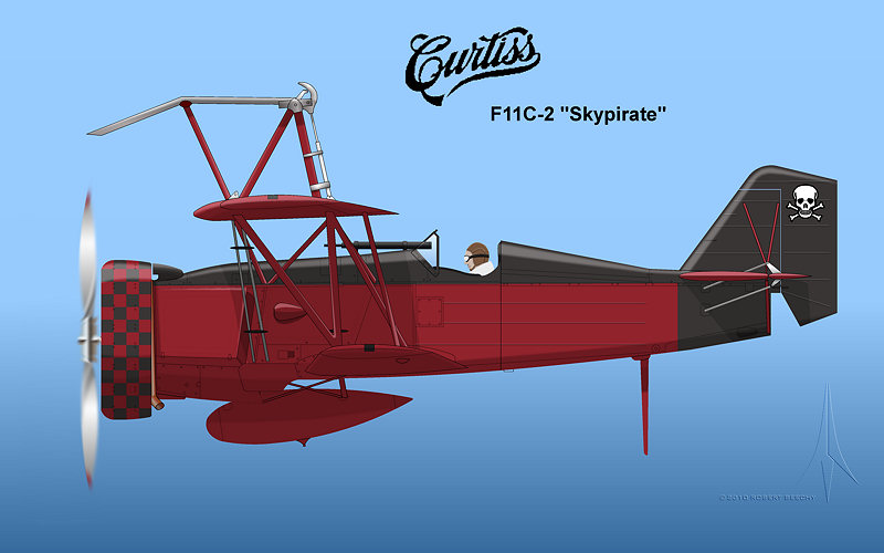 Curtiss F11C-2