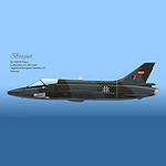 Breguet BR-1001 Taon