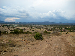 Click to enlarge