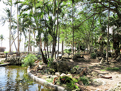 Click to enlarge