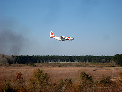 Click to enlarge